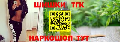 шишки Камышлов