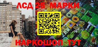 2c-b Кандалакша