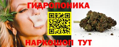 spice Канаш