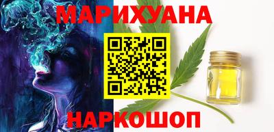 шишки Камышлов