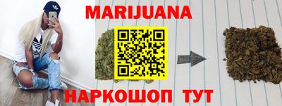 шишки Камышлов