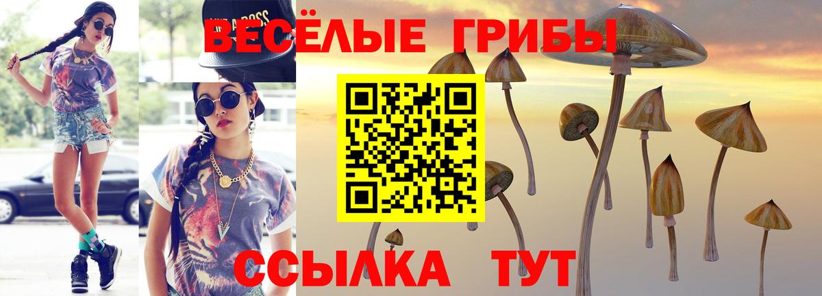 Галлюциногенные грибы мухоморы Чебаркуль